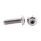 Prime-Line 1/4"-20 Socket Head Cap Screw, Button, Plain Stainless Steel, 3/4 in Length, 10 PK 9169705 - alternate 2